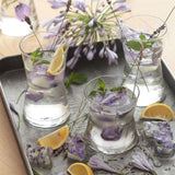 1026097 Merge Hi Ball Glasses Water Juice Highball Drinking Tumbler Derin Glass350ml x 6	Z304 You xxxxxxx You 210726.
