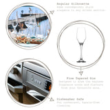 1026107 Merge 6 Pieces LAV Clear 230ml Ella Glass Champagne Flutes Prosecco Wedding Party Z305 xxxxxxx You 230726.