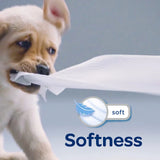 110163 Merge 60 Rolls Kleenex Toilet Paper Tissue Rolls 3 Ply180 Sheets Soft Toilet Rolls Z130.