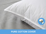 110367 Merge 2 Australian Made Microfibre Hotel Pillow Cotton Cover Altern To Down Latex Memory Z231 xxxxxxx You 010326.