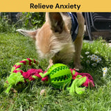 13231 Merge Dog Rope Toys Braided Pet Puppy Ball Chew Bite Toy Gift Tough Cotton Clean Teeth Green X155.