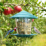 20108 Merge Bird Feeder Automatic Foot Feeding Tool Outdoor Feeder Hanging Blue Z129 xxxxxxx You 170426.